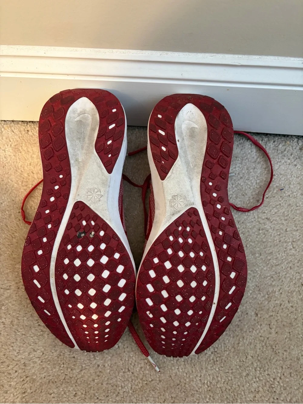Nike Pegasus 41 Alabama Shoes